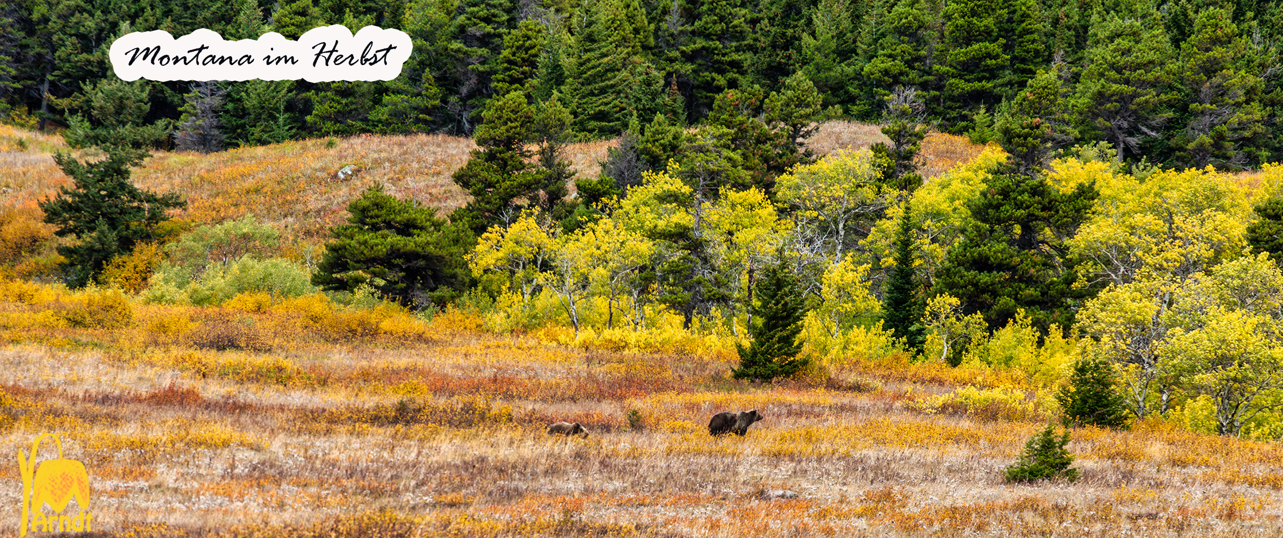 Herbst in Montana